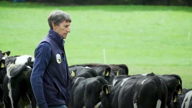 Virtual Farm Walk: Chasing heavier carcasses in Co. Roscommon
