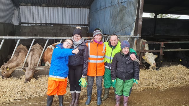 Healthy Ireland involvement in social farming highlighted
