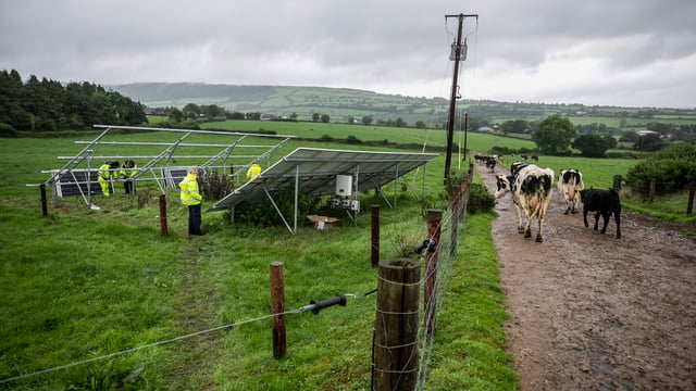 New double-sided solar panels installed on Kilkenny dairy farm