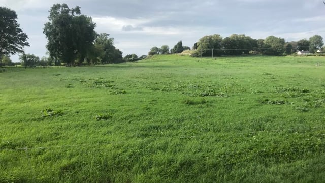 GrowthWatch: Aim to maximise the use of autumn grass