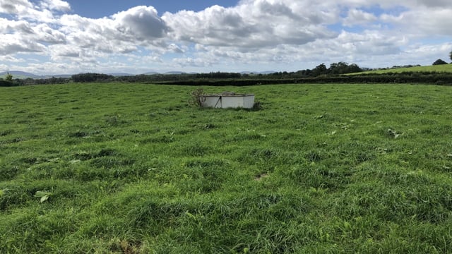 Grassland management: Turning attentions back to building covers