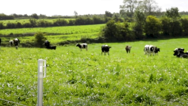 GrowthWatch: Preparations for spring grassland management begin now