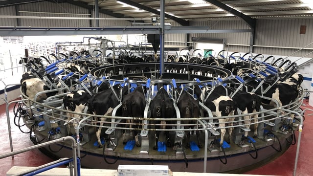 Milk Price Tracker: A round-up of what co-ops paid for August's milk supplies