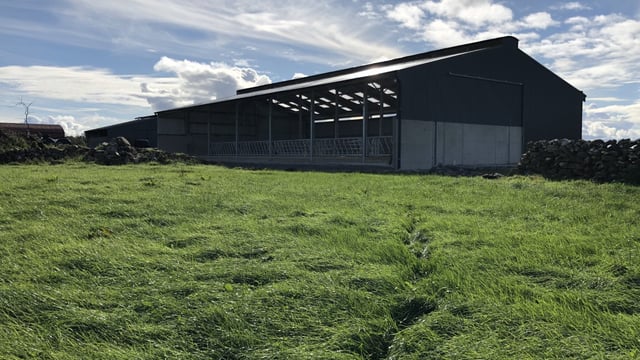 Buildings Focus: 6-bay slatted unit with a lieback area and crush in Co. Mayo