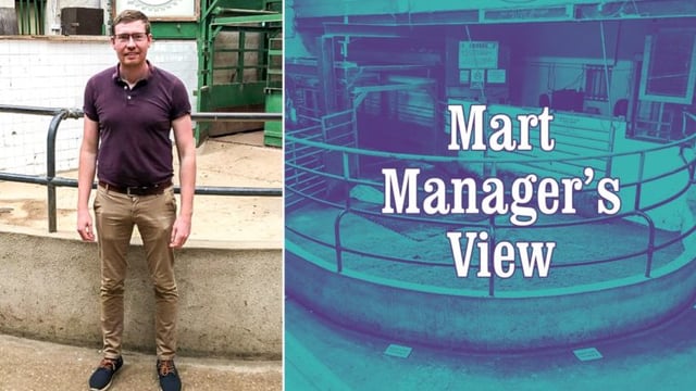 Forward-type cattle were better by €20-30/head - Kevin Murphy