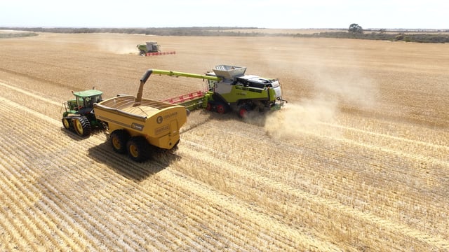 Cork to Oz during the pandemic: 'Harvest 2020 better be worth it'