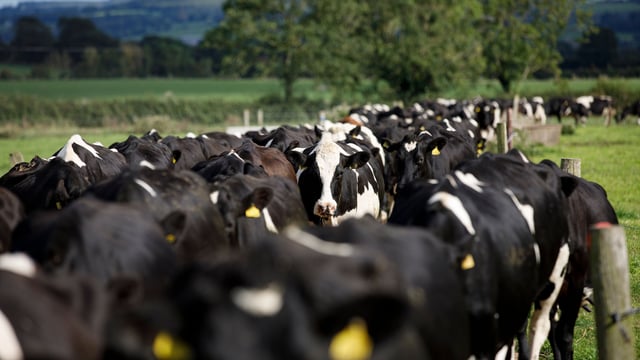 Cultivate loan applications worth over €50m in 2023