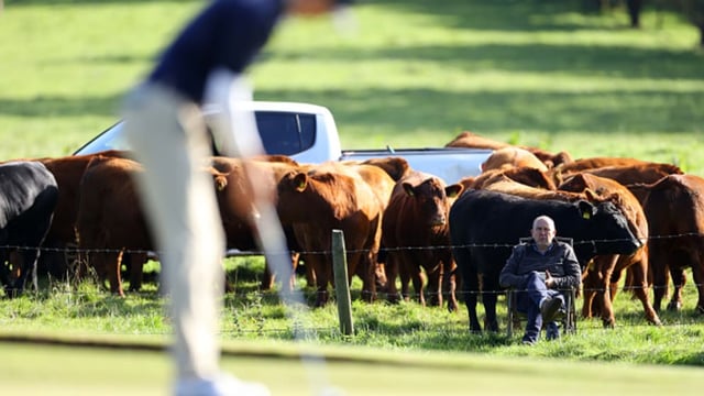 Antrim farmer goes viral with agri-spec gallery during Irish Open