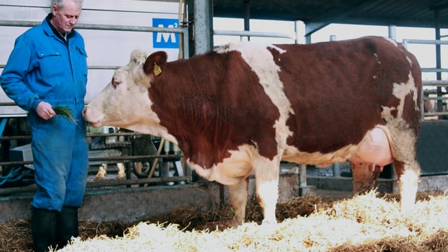 Cow-first approach guides latest innovations for Fullwood Packo