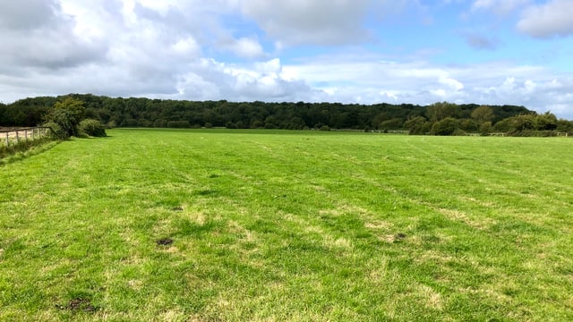 14.5ac agricultural land in Co. Laois 'suitable for a wide number of uses'