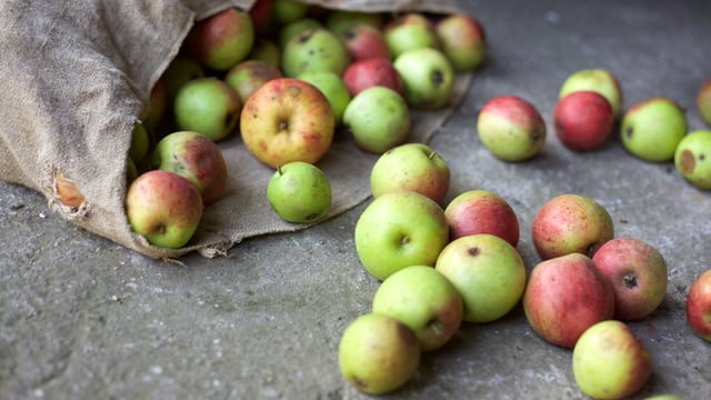 'Feeding people must be prioritised above anaerobic digestion and animal feed'
