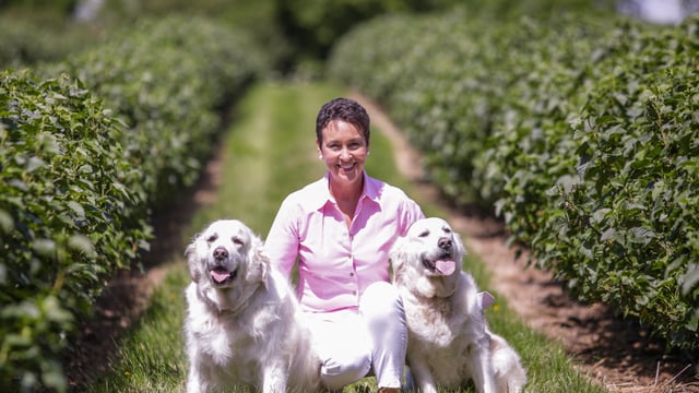 'Incredible appetite among consumers for produce delivery'