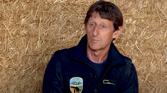 Virtual Farm Walk: Relive all of the action