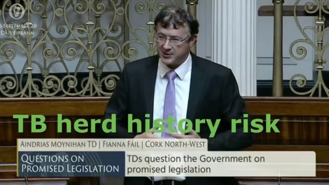 'You can't keep going the way it is - stop' - Moynihan
