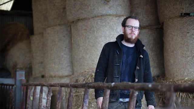'The Cow Book' author publishes second book