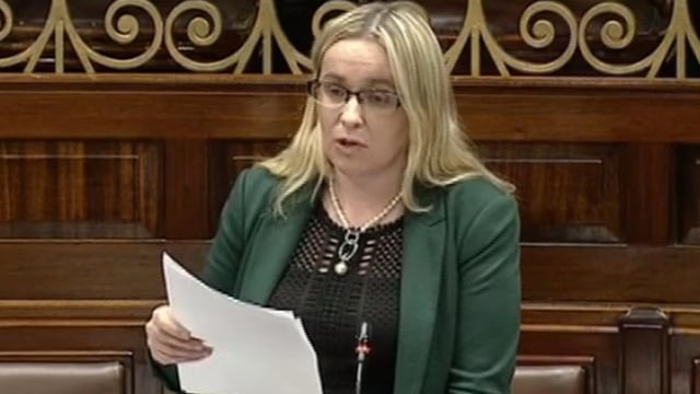 'Swift and harsh penalties' needed for dog attacks - Nolan