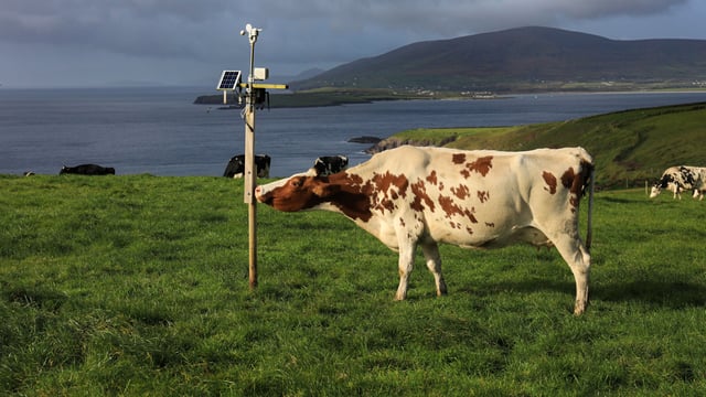 €200k to help west Kerry farmers achieve greater carbon efficiency