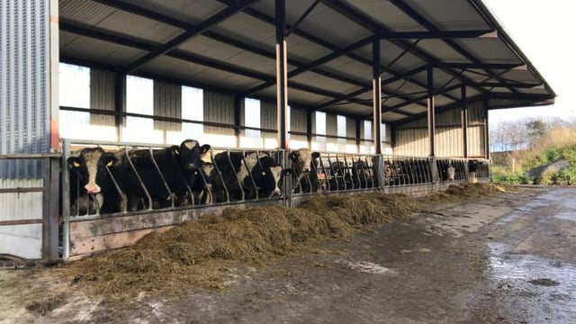 GrowthWatch: Grazing season draws to a close for heavier stock