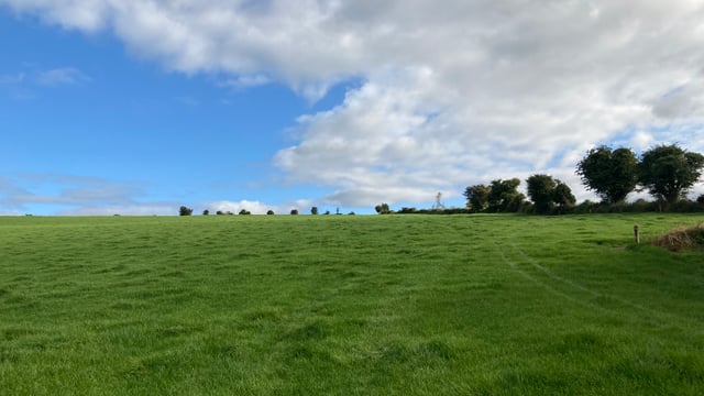 'Touch of boom activity evident in land sales amid uncertainty'