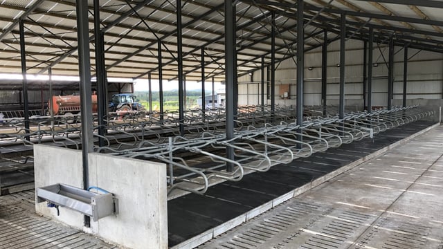Dairy management: Time to get winter ready and get that cubicle house in order