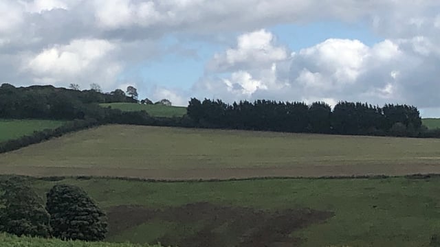Choices aplenty as several plots of land for sale in Co. Kildare