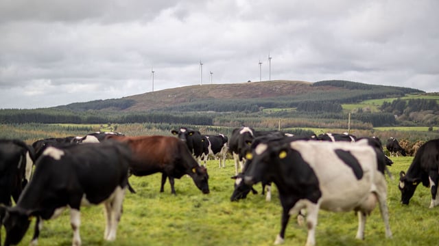 Quality Milk Awards 2020: Who are the Co. Cork finalists?