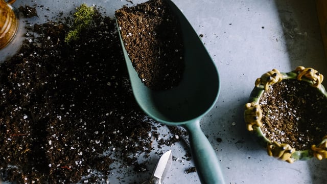 Controls tighten on high-risk plants and plant product imports
