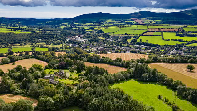 Aughrim 93.5ac residential and agricultural estate on market