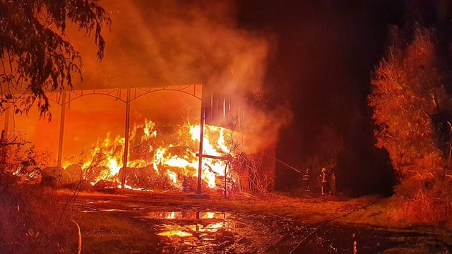 Gardaí investigating 'criminal damage' after Tipperary shed fire