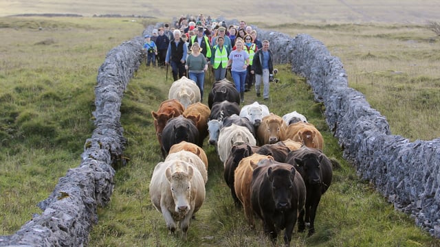 7th Burren Winterage School goes mainly virtual