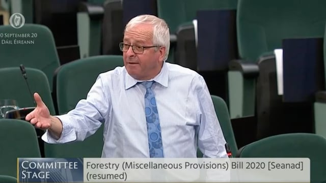 'We cannot sort out housing crisis if we have no timber to make roofs' - McGrath