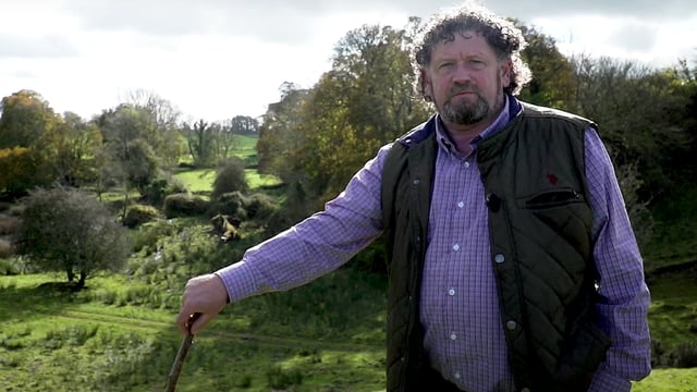 A farmer and his magical field: How fairies have 'kept the land sacred in Ireland'