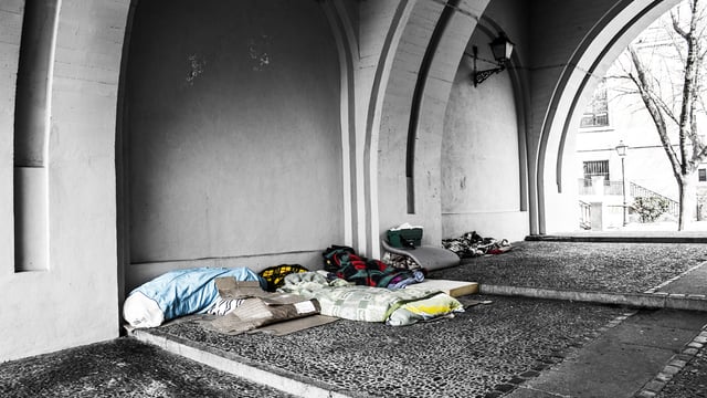 Assistant MD of ploughing association joins homelessness cause