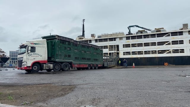 Defeat of 'unworkable' animal transport proposals welcome - ICSA