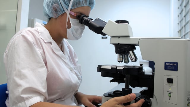 Veterinary council highlights hygiene protocols amid level 5 restrictions