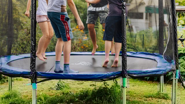 Missing cow discovered...stuck on trampoline