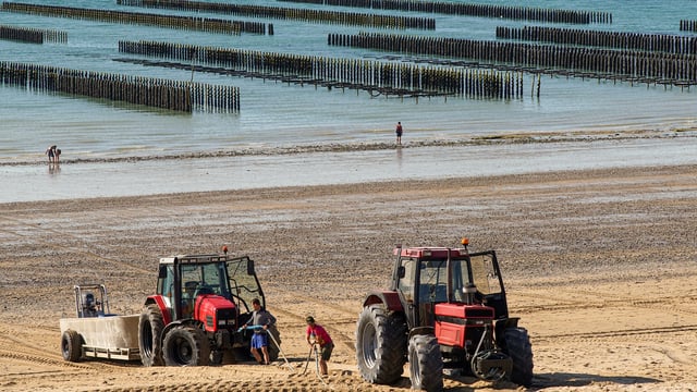 McConalogue announces details of aquaculture support scheme