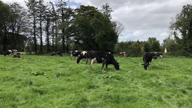 Ciaran Fitzgerald: Irish agri sector needs to 'up' its communications game