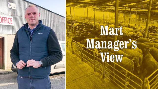 Video: Brian Hogan gives his views on the cattle trade at Athenry Mart
