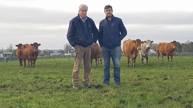 Beef Focus: Saying goodbye to suckler farming after 25 years
