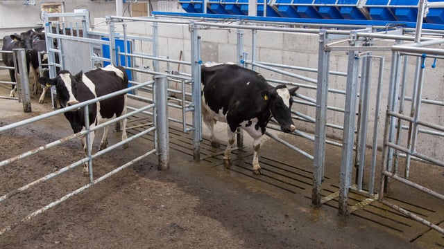 Setting up the farm for spring 2021