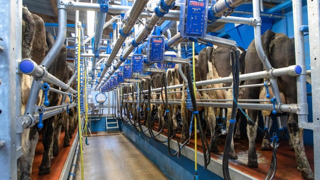 Dairymaster marks retirement of first appointed dealer