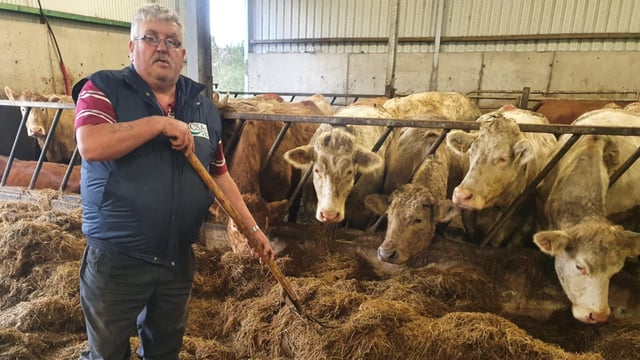 'Stock number issues need to be solved at birth, not near finishing' - Dermot Kelleher
