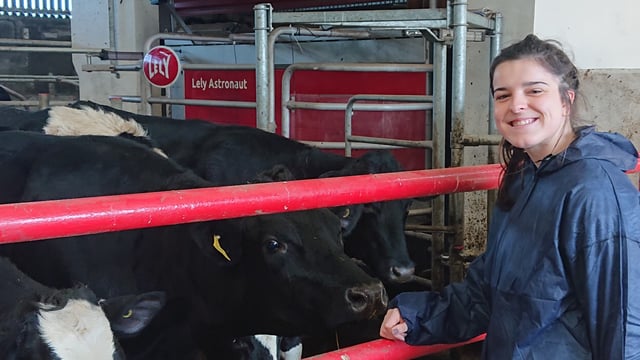 NI dairy research project to improve welfare and production in robotic systems