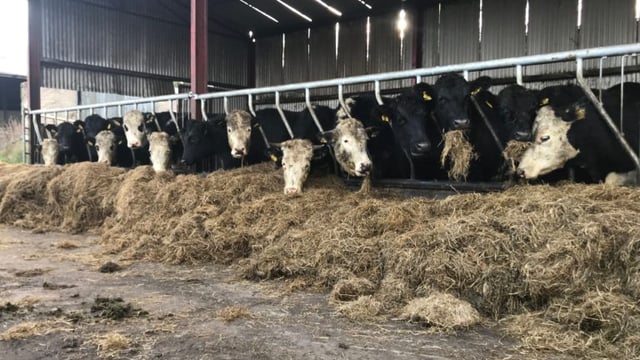 GrowthWatch: Grazing season comes to an end for some farms