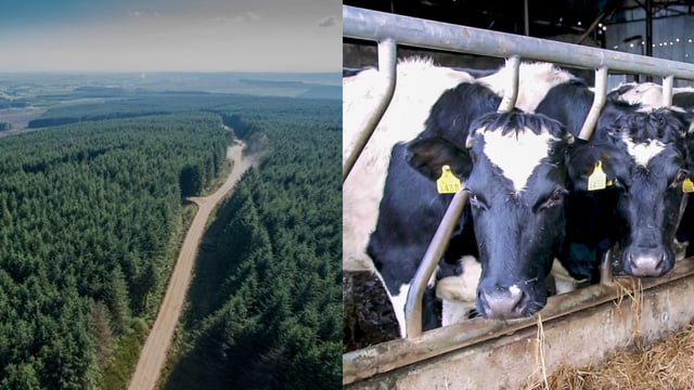 Destructive characterisation of agri-business becoming farcical