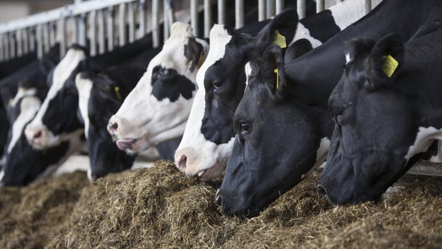 Environmental, safety and quality assurance is 'best defence' against cheap food imports