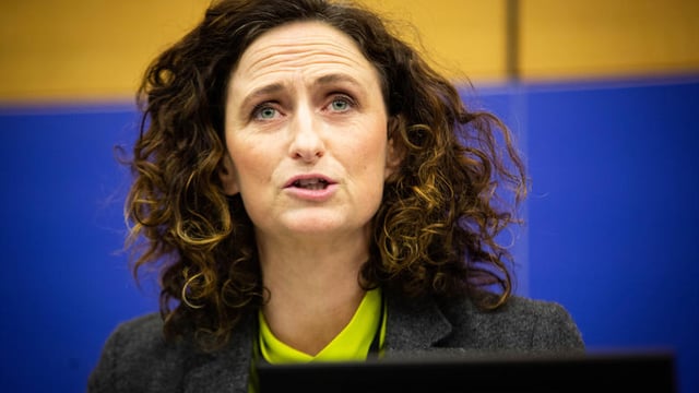 Green Party 'failure to support' climate action amendment 'raises alarm bells'