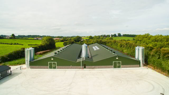 Ideal Home project awarded Innovate UK grant for ground-breaking poultry house design