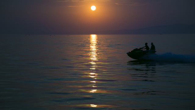 'A cow was so panicked by jet skis on the lake that she threw a calf' - McNamara